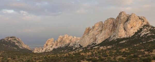 parc des Alpilles