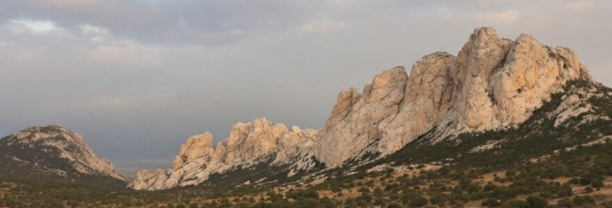 parc des Alpilles